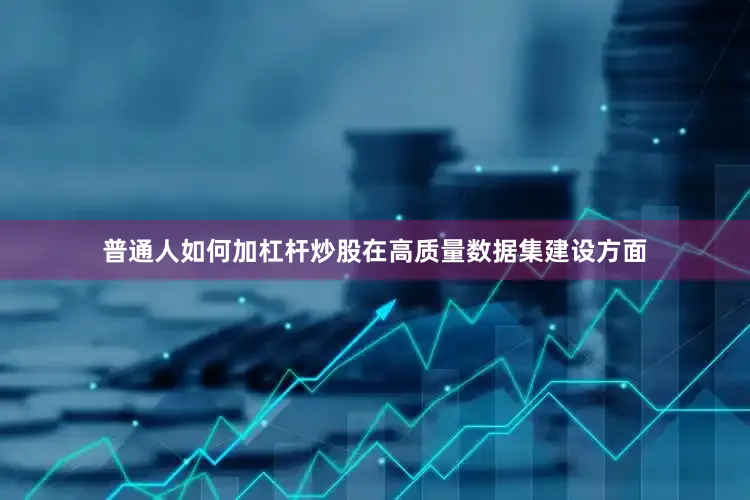 普通人如何加杠杆炒股在高质量数据集建设方面