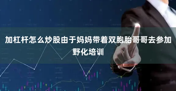 加杠杆怎么炒股由于妈妈带着双胞胎哥哥去参加野化培训