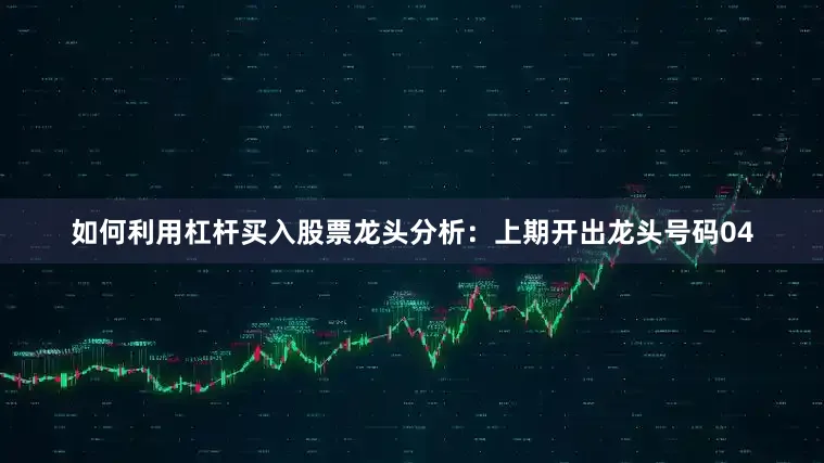 如何利用杠杆买入股票　　龙头分析：上期开出龙头号码04